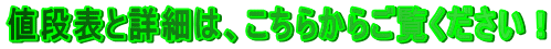 li\Əڍׂ́A炩炲I