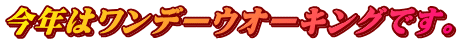 今年はワンデーウオーキングです。