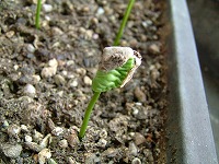 20040701.jpg (18230 oCg)