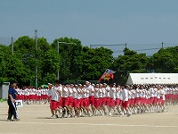 20040523.jpg (14473 oCg)