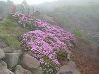 20040529.jpg (7923 oCg)