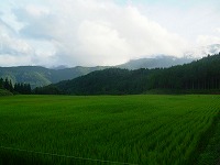 20040813_2.jpg (8654 oCg)