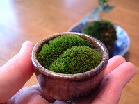20040817_1.jpg (12592 oCg)