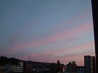20050426.jpg (6427 oCg)