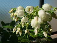20050427.jpg (14845 oCg)