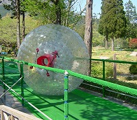 20050429.jpg (23647 oCg)