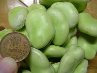 20050521.jpg (10817 oCg)