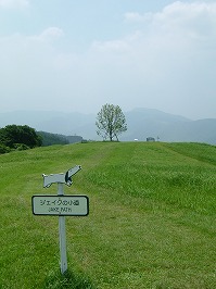 20050724_3.jpg (17890 oCg)