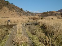 20051123_5.jpg (15835 oCg)