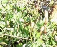 20060221.jpg (25524 oCg)