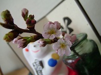 20060326.jpg (11265 oCg)