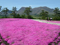 20060507_1.jpg (17628 oCg)