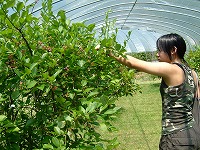 20060805_3.jpg (22748 oCg)