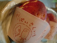 20060826_1.jpg (11407 oCg)