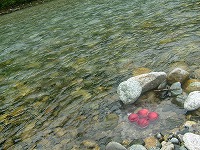 20060829_1.jpg (19135 oCg)