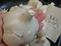 20060915_1.jpg (9271 oCg)
