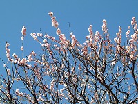20070215_2.jpg (20756 oCg)