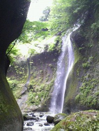 20070805.jpg (27480 oCg)