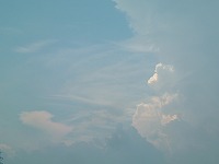20070819.jpg (4412 oCg)
