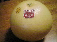 20071222.jpg (12843 oCg)