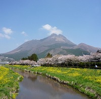 20080414_1.jpg (14178 oCg)