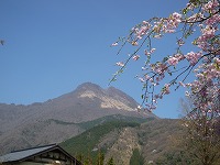 20080414_2.jpg (12703 oCg)