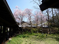 20080414_3.jpg (17578 oCg)