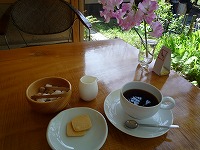 20080414_5.jpg (15087 oCg)