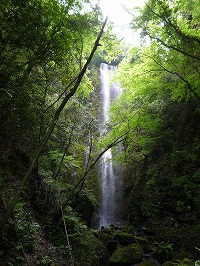 20080502_5.jpg (31823 oCg)