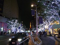 20081108.jpg (17416 oCg)