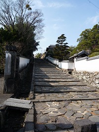 20090207_1.jpg (28233 oCg)