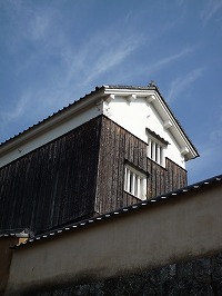20090207_3.jpg (17013 oCg)