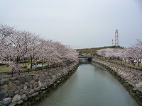 20090329.jpg (11332 oCg)