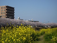 20090402_1.jpg (14747 oCg)