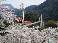 20090405.jpg (19210 oCg)