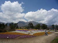 20090411_2.jpg (12799 oCg)
