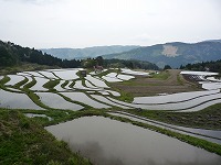 20090503.jpg (12592 oCg)