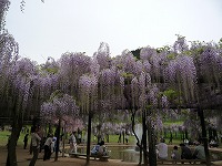 20090504_1.jpg (14586 oCg)