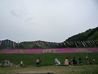 20090504_2.jpg (9932 oCg)