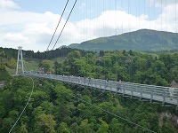 20090507.jpg (14736 oCg)