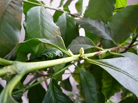 20090609_1.jpg (16169 oCg)