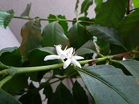 20090609_2.jpg (14316 oCg)