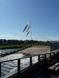 20090920_2.jpg (18732 oCg)