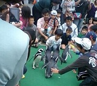 20091011.jpg (18630 oCg)