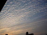 20091014.jpg (13190 oCg)