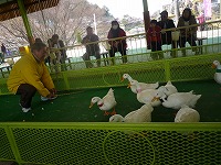 20100327_1.jpg (17749 oCg)