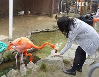 20100327_2.jpg (18096 oCg)