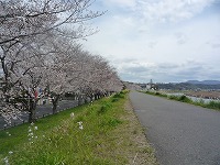 20100331.jpg (14128 oCg)