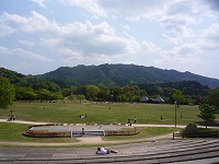 20100501.jpg (12454 oCg)