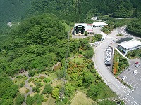 20100619_1.jpg (19689 oCg)